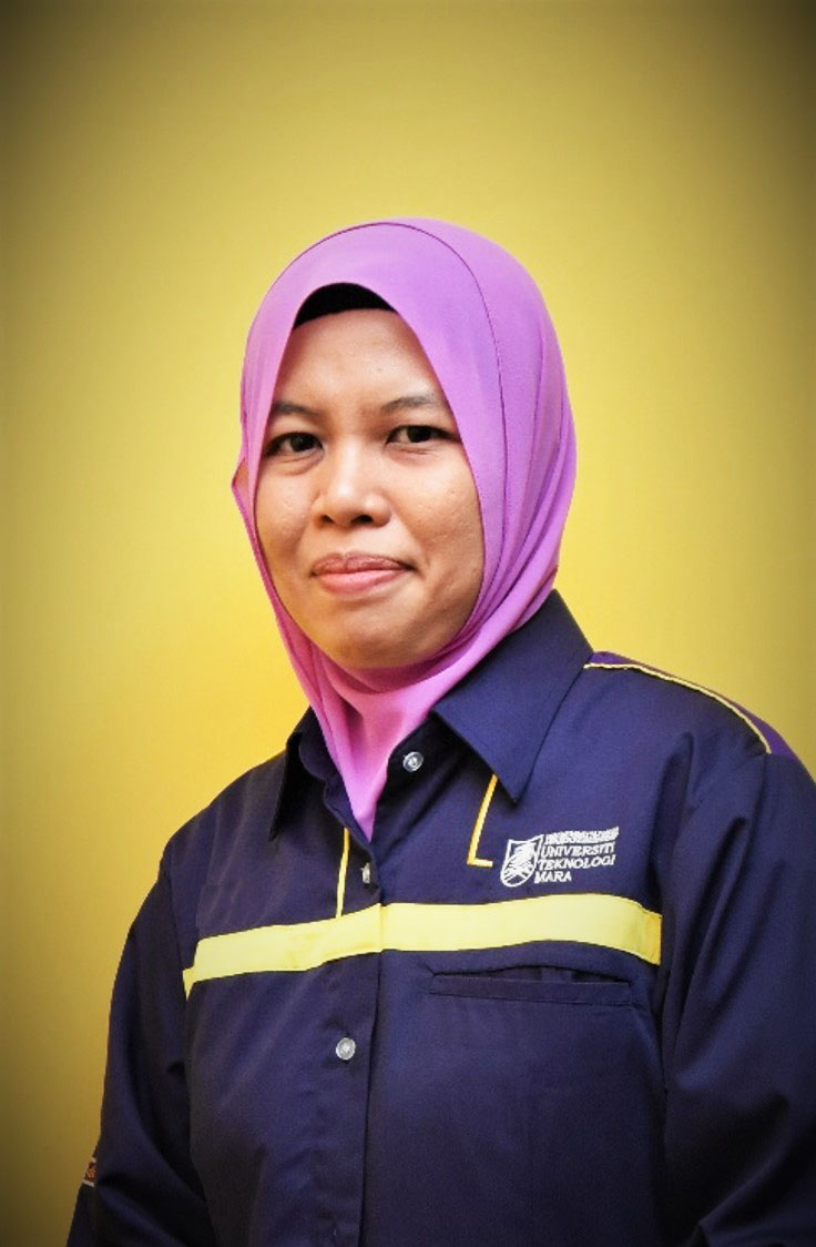 Hanis Diyana Kamarudin (PhD)